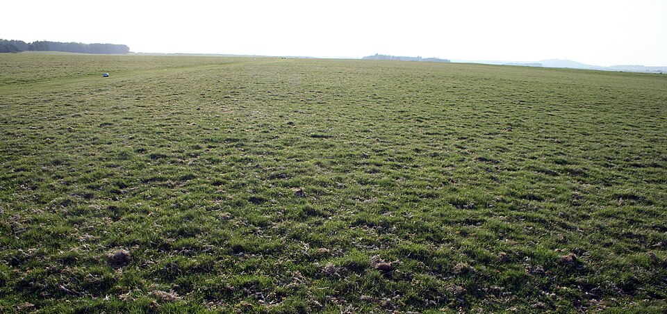 Environment from Kildare
