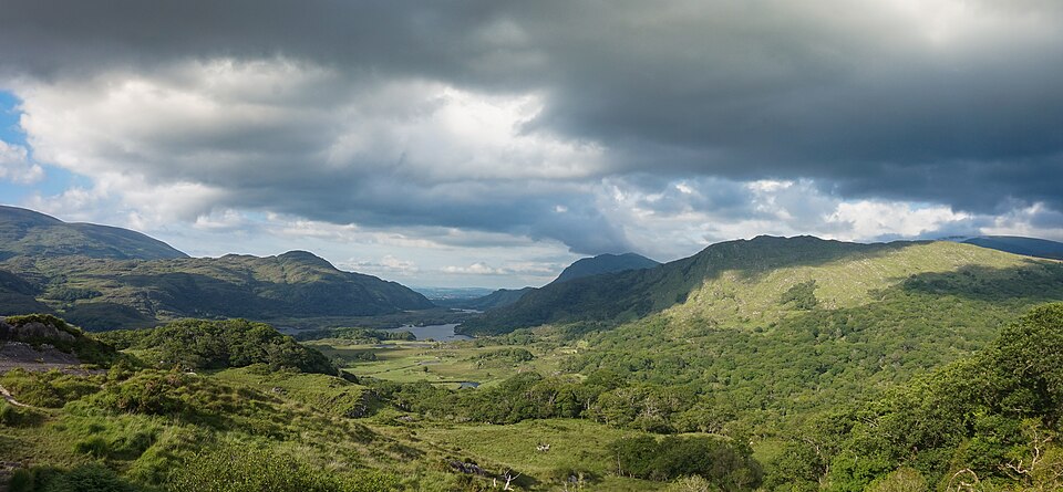 News from Kerry